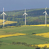Gartengestaltung Wieneke - Uslarer Land