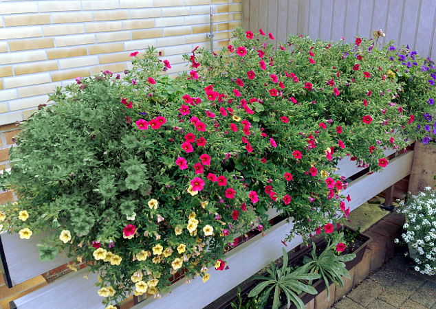 Zufallsbilder - Gartengestaltung Wieneke