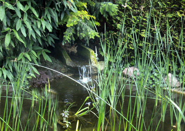 Zufallsbilder - Gartengestaltung Wieneke