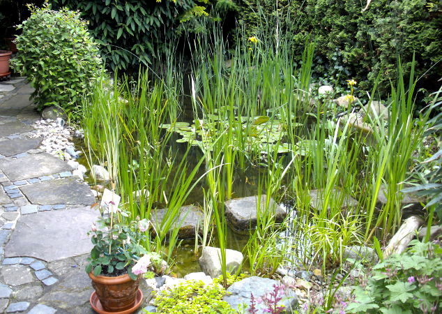 Zufallsbilder - Gartengestaltung Wieneke