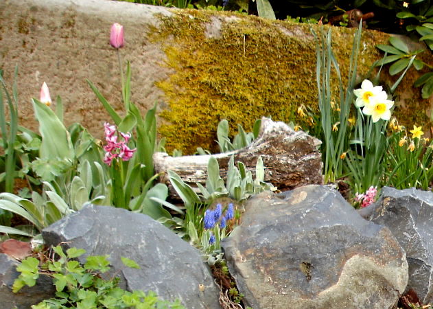 Zufallsbilder - Gartengestaltung Wieneke