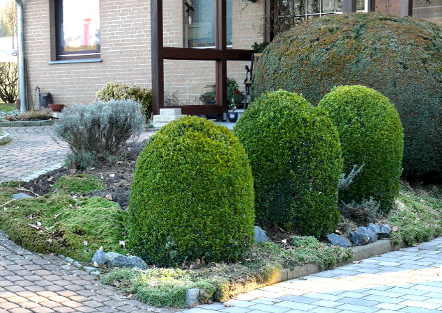 Zufallsbilder - Gartengestaltung Wieneke