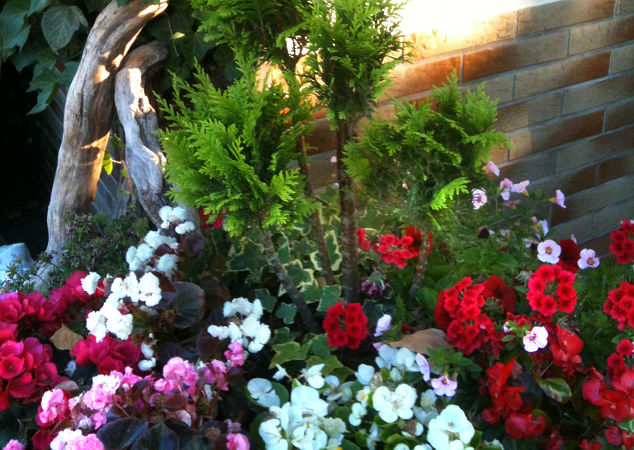 Zufallsbilder - Gartengestaltung Wieneke