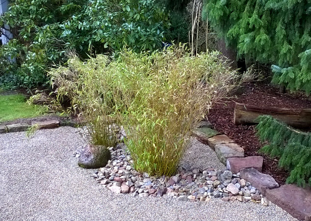 Zufallsbilder - Gartengestaltung Wieneke