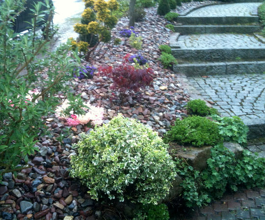 Gartengestaltung Wieneke - Göttingen - Uslar - Oberweser