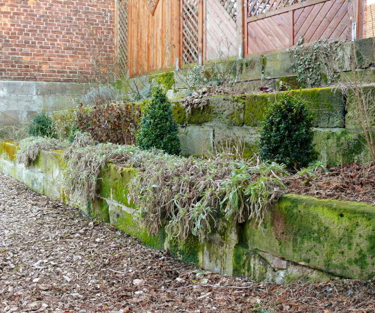 Gartengestaltung Wieneke - Göttingen - Uslar - Oberweser