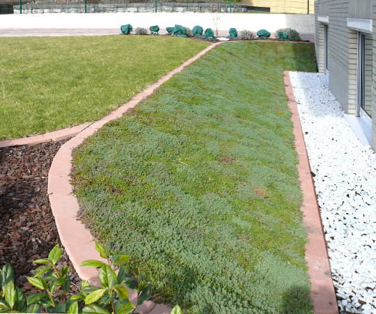 Gartengestaltung Wieneke - Göttingen - Uslar - Oberweser