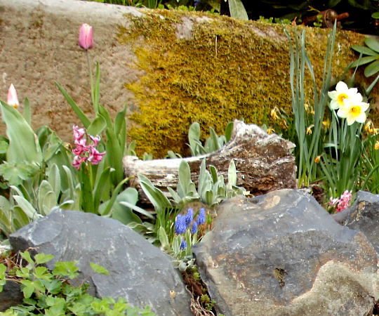 Gartengestaltung Wieneke - Göttingen - Uslar - Oberweser