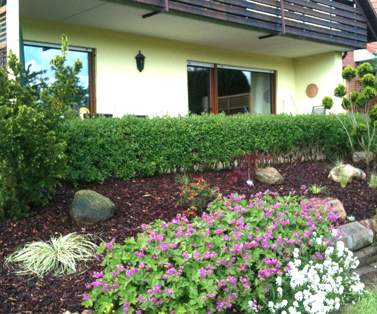 Gartengestaltung Wieneke - Göttingen - Uslar - Oberweser