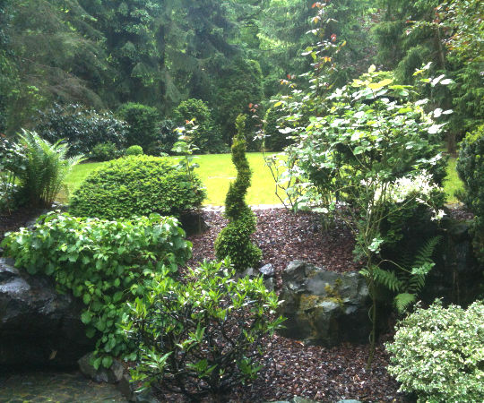 Gartengestaltung Wieneke - Göttingen - Uslar - Oberweser