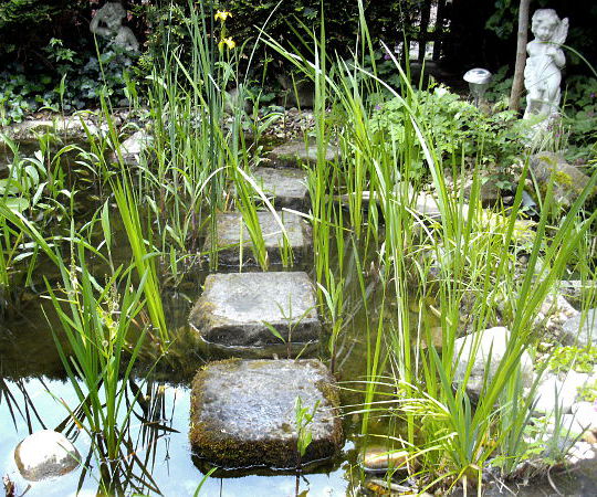 Gartengestaltung Wieneke - Göttingen - Uslar - Oberweser