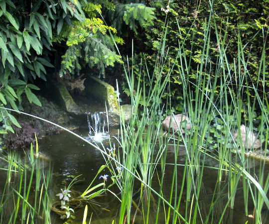 Gartengestaltung Wieneke - Göttingen - Uslar - Oberweser