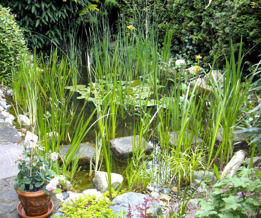 Gartengestaltung Wieneke - Göttingen - Uslar - Oberweser
