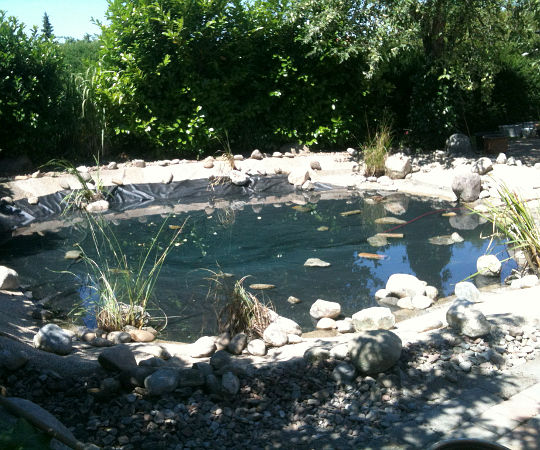 Gartengestaltung Wieneke - Göttingen - Uslar - Oberweser