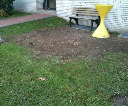 Gartengestaltung Wieneke - Göttingen - Uslar - Oberweser