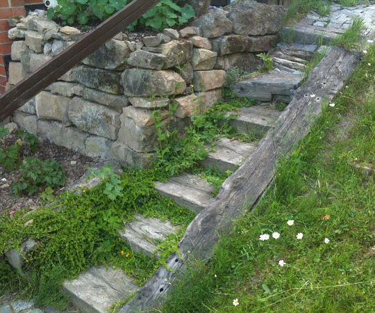 Gartengestaltung Wieneke - Göttingen - Uslar - Oberweser