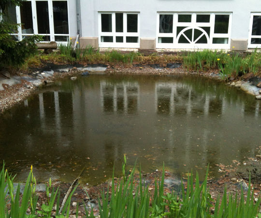 Gartengestaltung Wieneke - Göttingen - Uslar - Oberweser